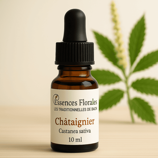 FLEUR DE BACH CHATAIGNIER (SWEET CHESTNUT N° 30)
