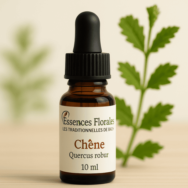 FLEUR DE BACH CHENE (OAK N° 22)