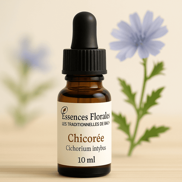 FLEUR DE BACH CHICOREE (CHICORY N° 8)