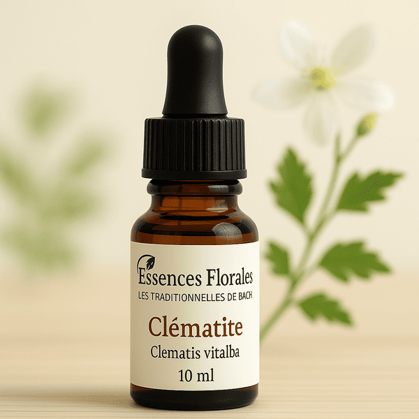 FLEUR DE BACH CLEMATITE (CLEMATIS N° 9)