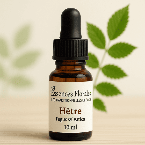 FLEUR DE BACH HETRE (BEECH N° 3)
