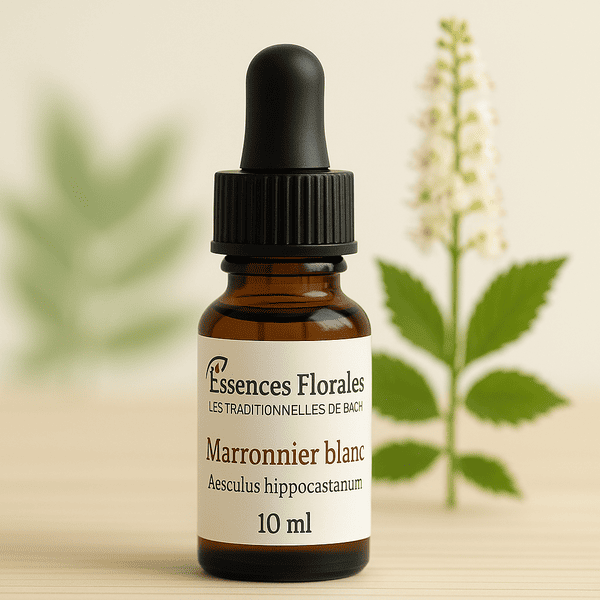 FLEUR DE BACH MARRONNIER BLANC (WHITE CHESTNUT N° 35)