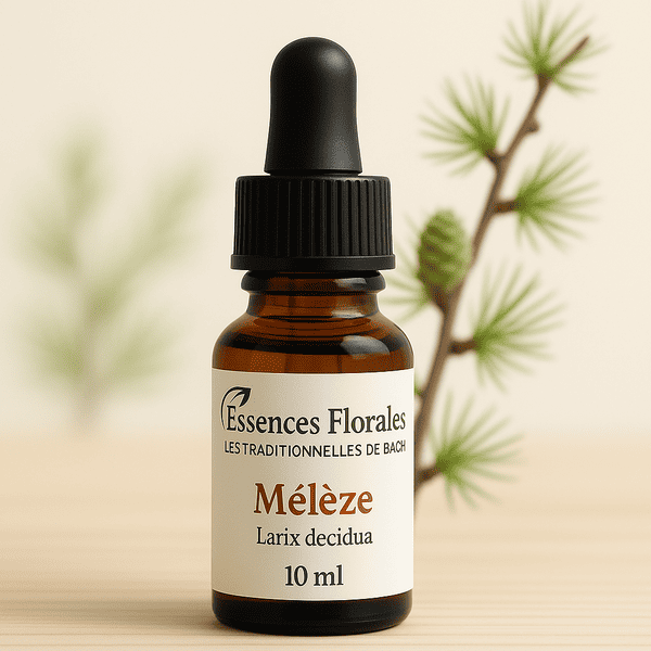 FLEUR DE BACH MELEZE (LARCH N° 19)