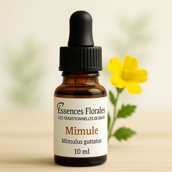 FLEUR DE BACH MIMULE (MIMULUS N° 20)