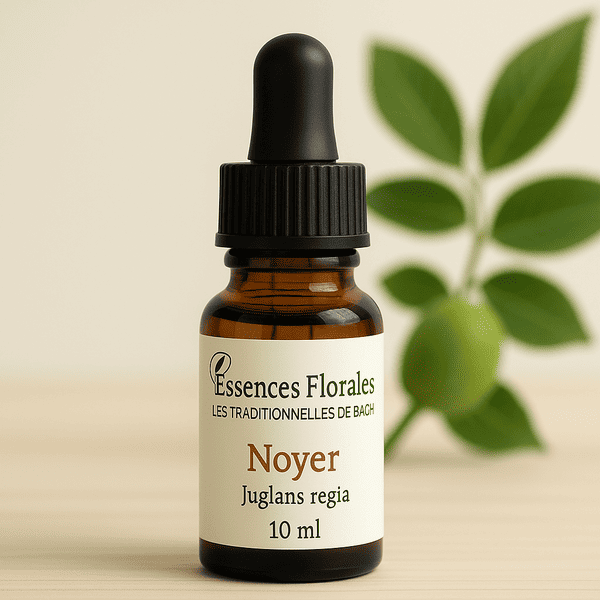 FLEUR DE BACH NOYER (WALNUT N° 33)
