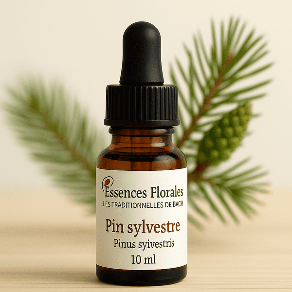 FLEUR DE BACH PIN SYLVESTRE (PINE N° 24)
