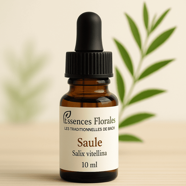 FLEUR DE BACH SAULE (WILLOW N° 38)