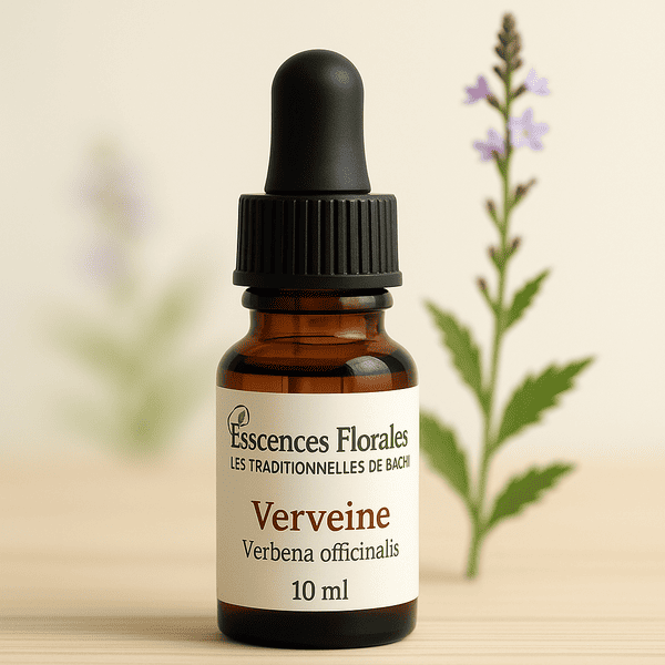 FLEUR DE BACH VERVEINE (VERVAIN N° 31)