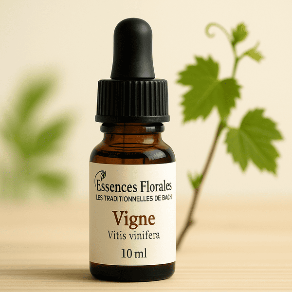 FLEUR DE BACH VIGNE (VINE N° 32)