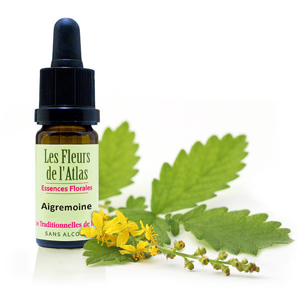 FLEUR DE BACH AIGREMOINE (AGRIMONY N° 1)