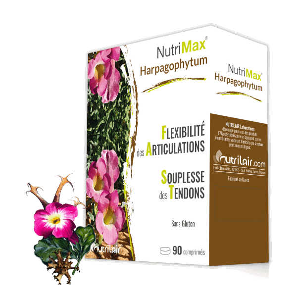 NUTRIMAX HARPAGOPHYTUM 90 COMPRIMÉS