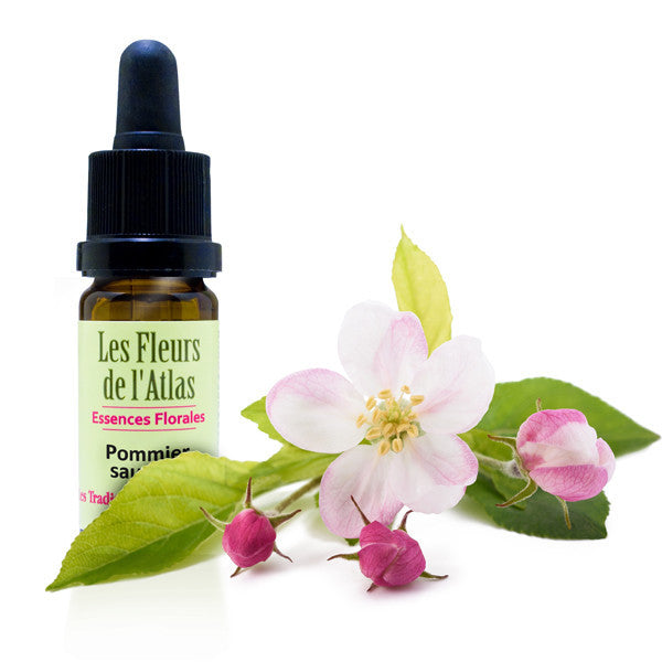 FLEUR DE BACH POMMIER SAUVAGE (CRAB APPLE N° 10)