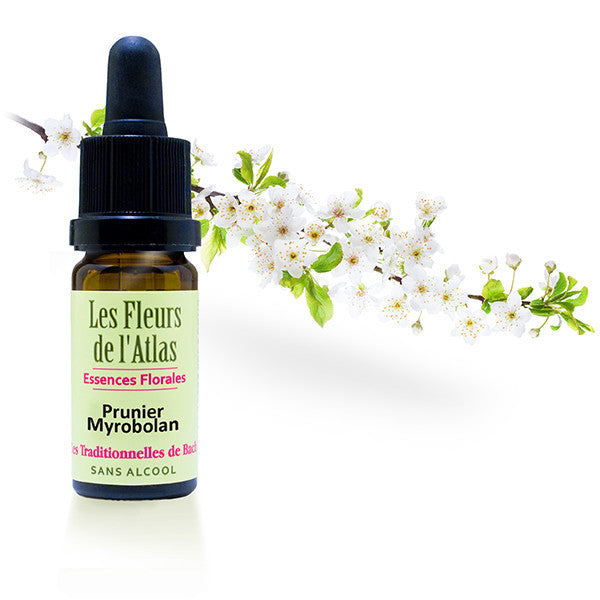 FLEUR DE BACH PRUNUS - PRUNIER MYROBOLAN (CHERRY PLUM N° 6)