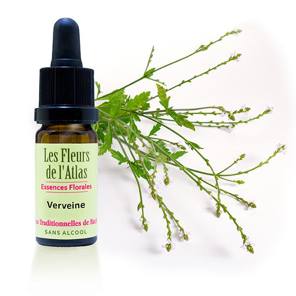 FLEUR DE BACH VERVEINE (VERVAIN N° 31)