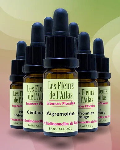 Collection page banner